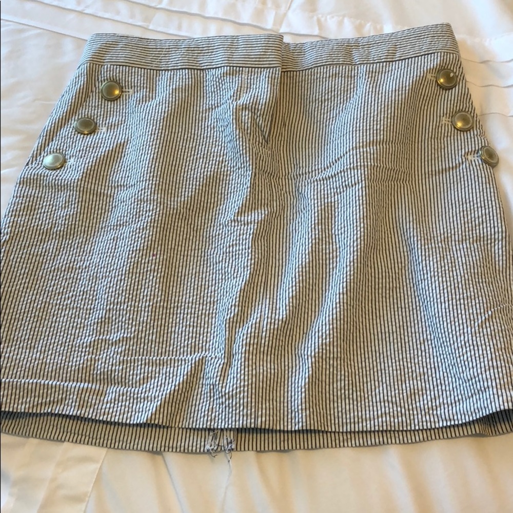 J. Crew skirt